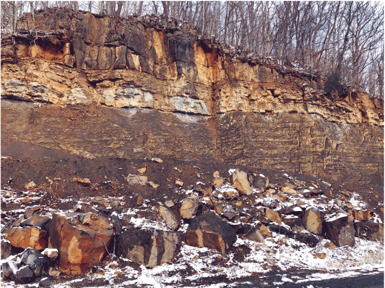The shale is quite distinctive, running in a thick layer with the limestone above
                              and chunks of fallen limestone below.