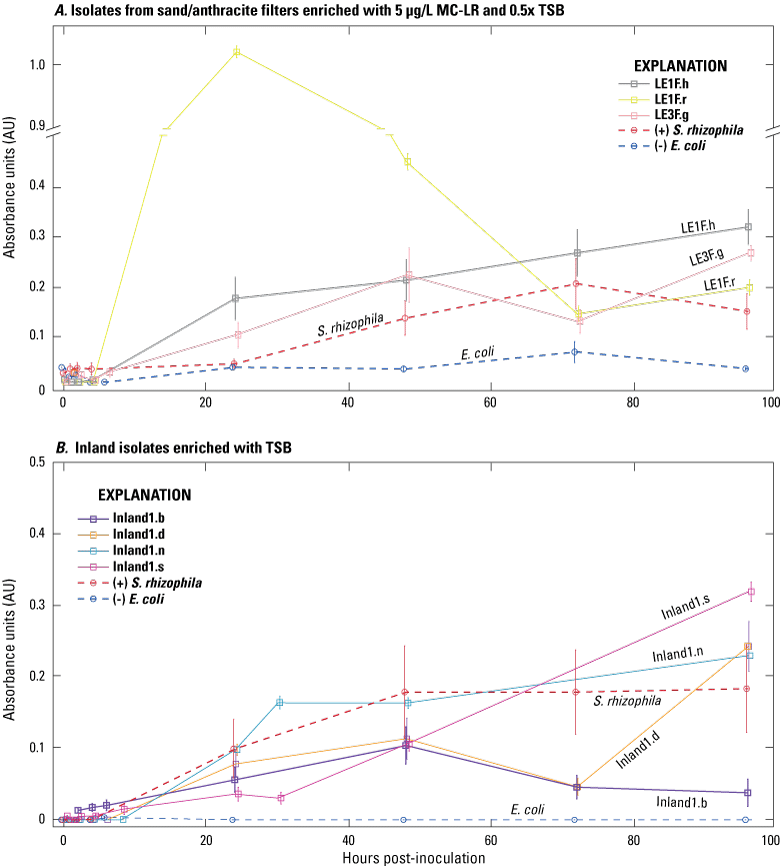 Isolates LE1F.r, Inland1.s, and LE2.r show highest peak absorbance units compared
                        to E. coli negative control absorbance units.
