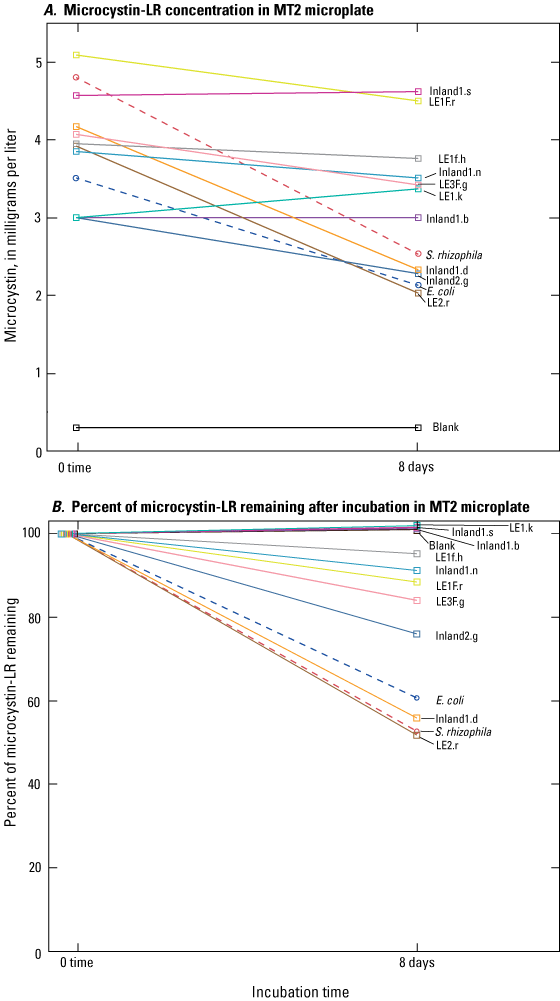 Microcystin concentrations decreasing in isolate microplate wells over 8-day incubation.
