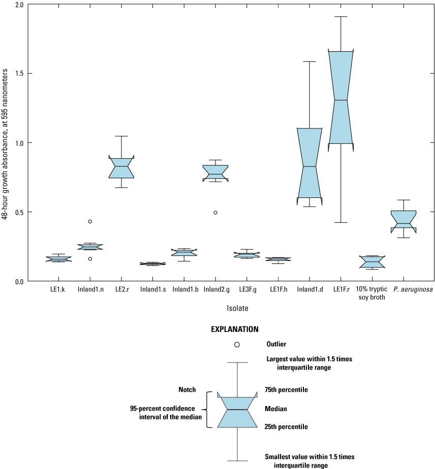 Distribution of median absorbances for isolates vary compared to the positive control.
                        Isolates Inland1.d and LE1F.r have the widest notch range.