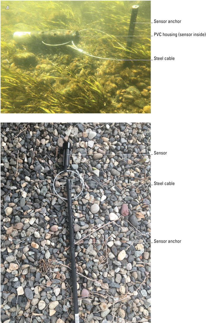 Temperature sensors are attached to steel spikes and inserted into the streambed.