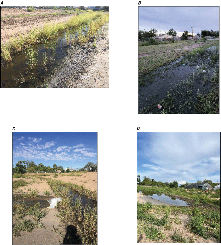 Figure 4. Photos show before and after landscape at McEwen pond with similar views
                        to the northeast and northwest.