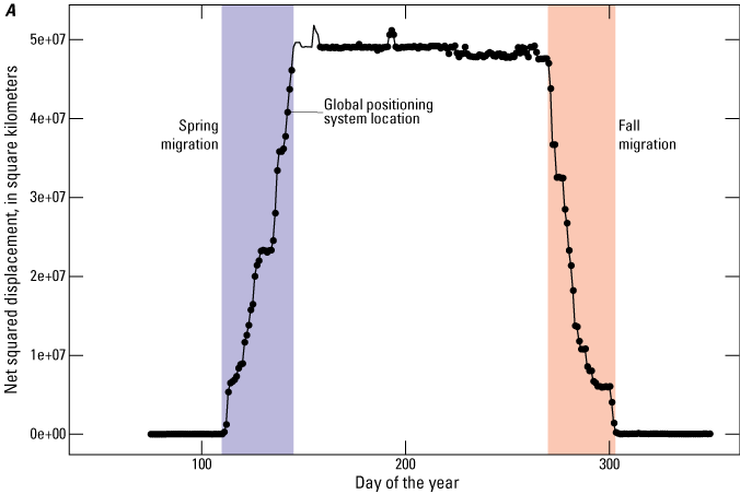 Spring migration sequences were identified between day 100 and 150 and fall migration
                     sequences were identified between day 250 and 310.