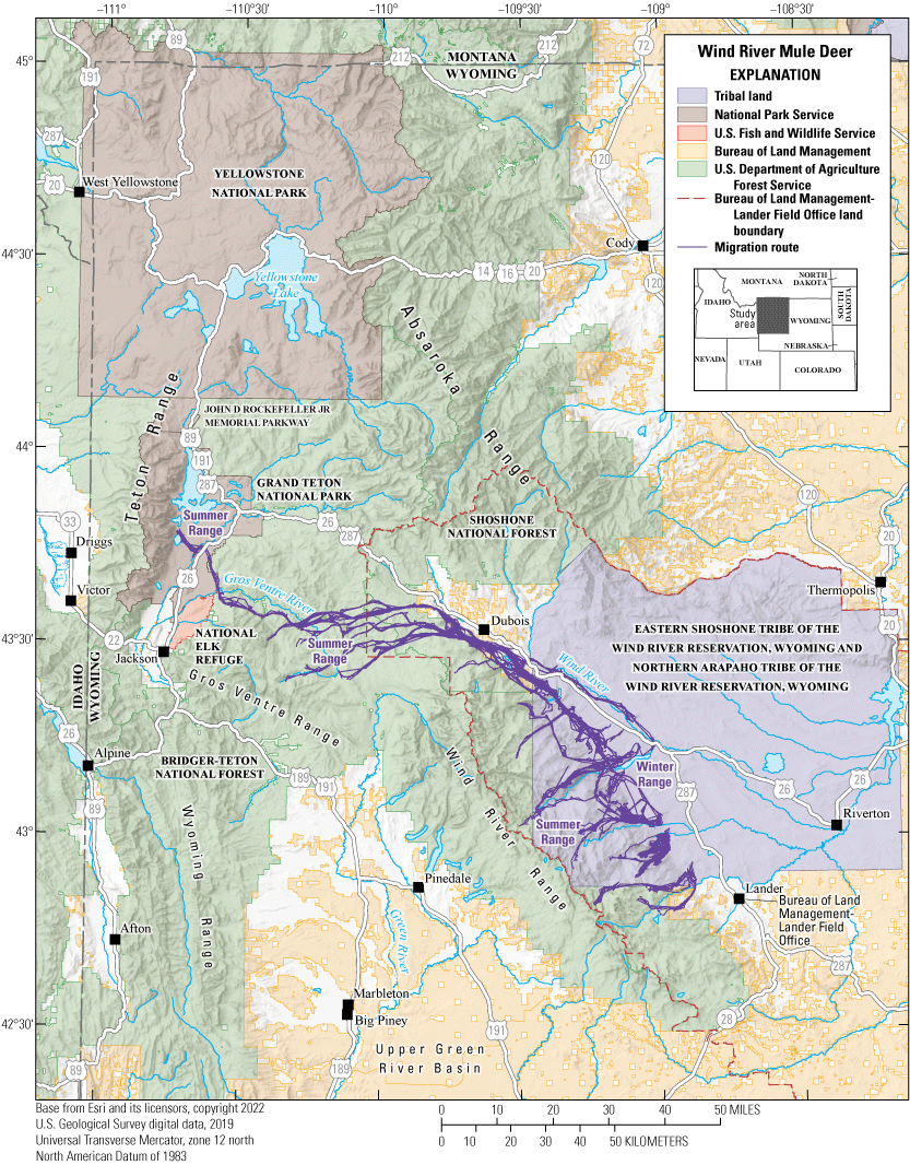 Mule deer in this herd cross many different private and public land sectors, including
                        the Wind River Reservation and Grand Teton National Park, among others.