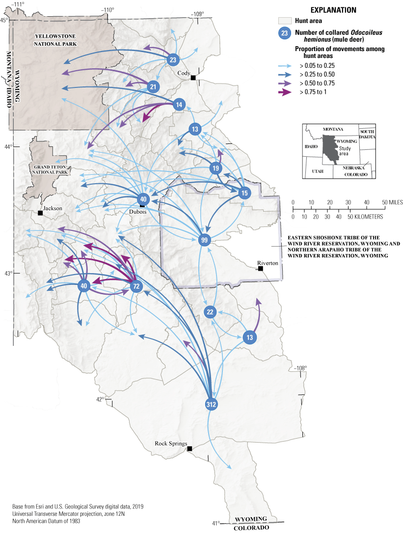 Mule deer movements are dynamic throughout the Greater Yellowstone Ecosystem.