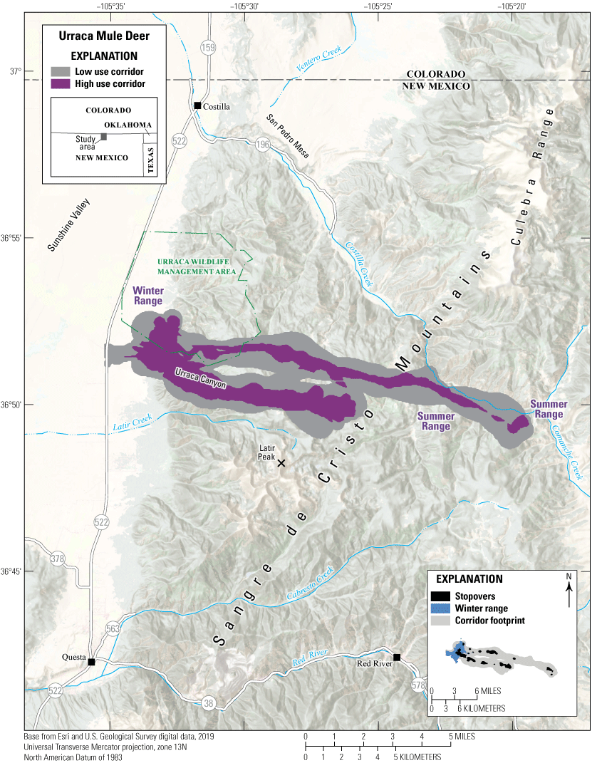 The migration corridor is predominately west of State Route 522 in the Sangre de Cristo
                           Mountains.