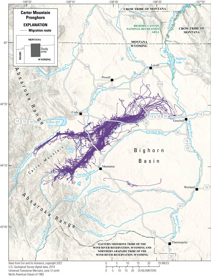 The migration routes are intersected by many highways north of Bighorn Basin.