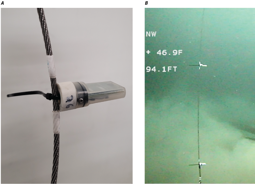 The sensors are attached along the cable that suspends the sondes and are smaller
                        than the sondes.