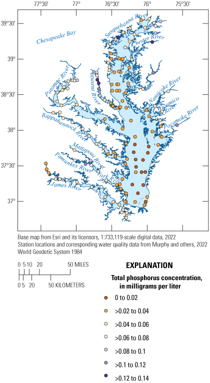 Concentrations were greater in the tributaries to the Chesapeake Bay than in it. The
                           northern half of the Chesapeake Bay and its tributaries had higher concentrations
                           than the southern half