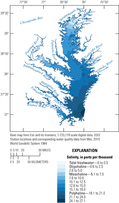 Salinity is lower in the upstream parts of the tributaries to the Chesapeake Bay and
                           increases along a gradient towards the outlet of the Chesapeake Bay (Atlantic Ocean)