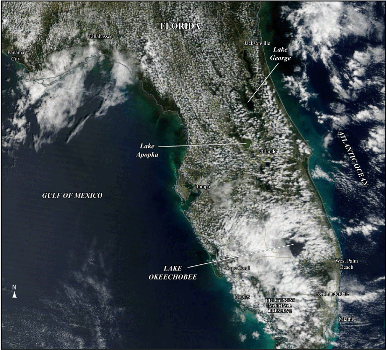 Cloud cover is present over nearly all of Florida peninsula except Lake Okeechobee,
                        Lake Apopka, and Lake George.
