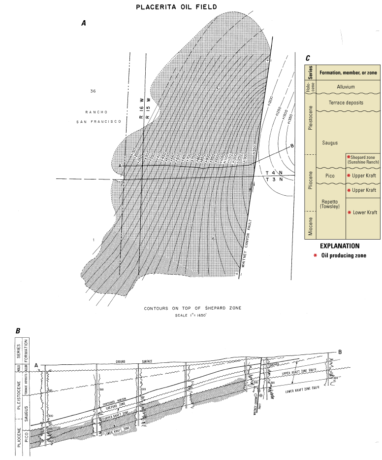 The oil-producing zones are in the Pliocene and Miocene series, with elevations ranging
                           from 150 to 1350 meters.