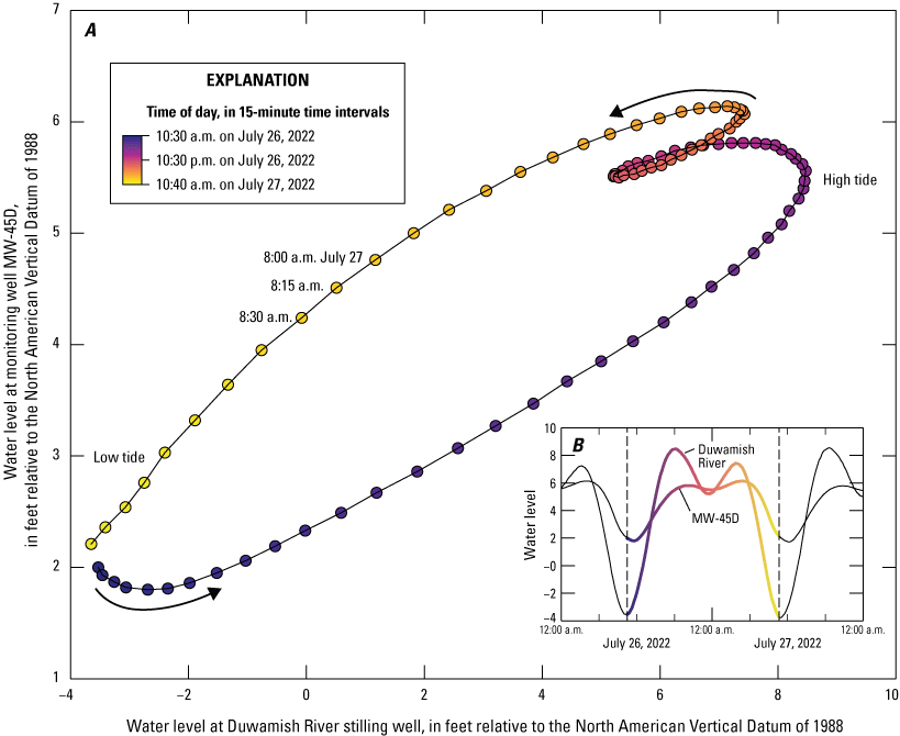 The graph shows that the water level in the groundwater well is higher on the descending
                        tidal limb than the ascending tidal limb for identical stages in the river.