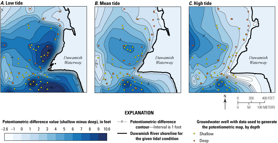 The potentiometric-surface-difference map at low tide shows the greatest differences,
                        while the high-tide map reveals a much more attenuated difference between the shallow
                        and deep aquifers.