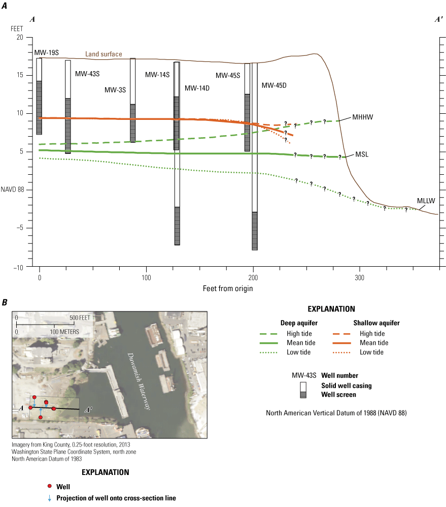 The potentiometric surfaces are relatively flat in the landward side of the cross
                        section and bend toward the water level in the river; question marks are shown between
                        the seaward-most well and the shoreline. The potentiometric surfaces for the deep
                        aquifer indicate greater variability at the different tidal cycles.