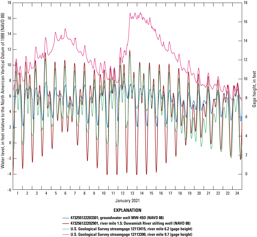 The hydrographs show that changes in upstream river stage are attenuated as they travel
                        downstream toward the other gages on the Duwamish River.