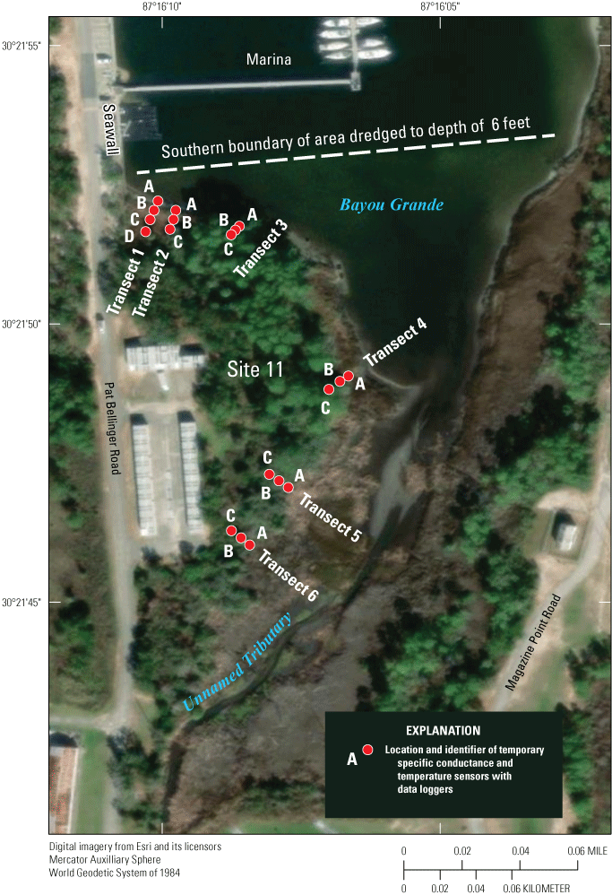 Location of the 6 transects and each temporary sensor.