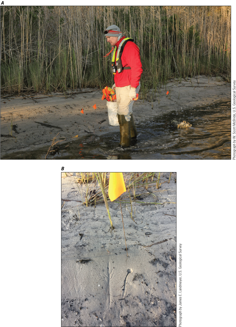 Shoreline seeps marked with orange flags.