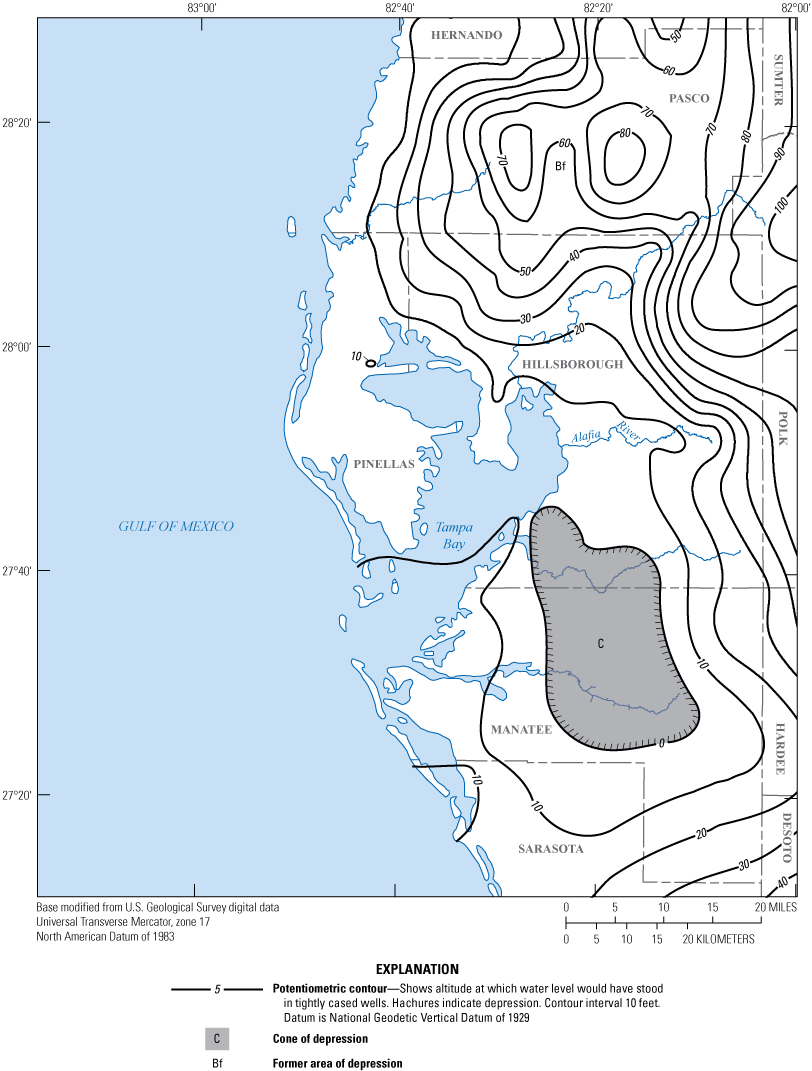 Potentiometric surface has 1 cone of depression, located east of Tampa Bay.