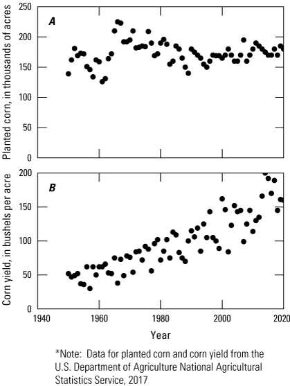 The amount of corn planted remains the same as corn yield increases.