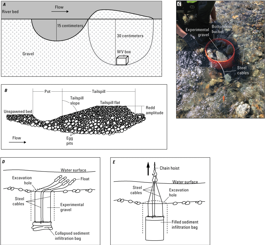 Figure 4. Schematic and field photographs of both the WV boxes and infiltration bag
                        installation into the riverbed and how the infiltration bag expands and captures subsurface
                        sediment during its recovery.