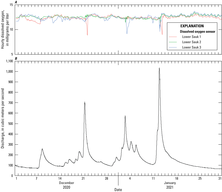 Figure 18. Abrupt, short-term decreases in dissolved oxygen concentration sometimes
                        correspond to peaks in discharge magnitude at lower Sauk River study site for individual
                        sensors.