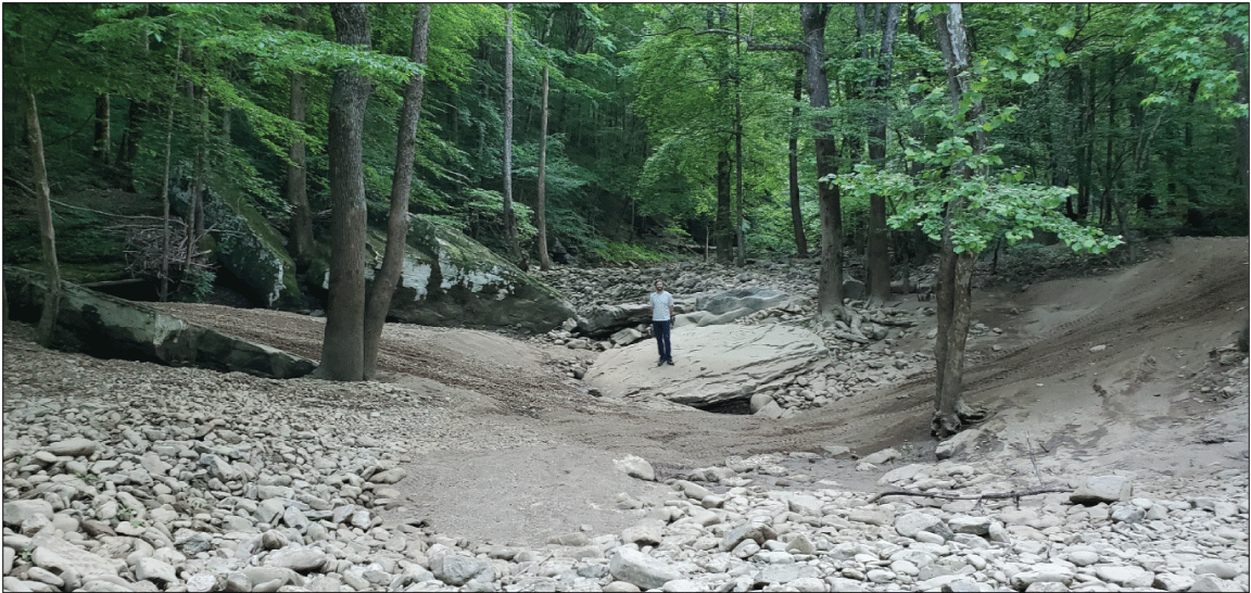 Alt text: Dry, rocky streambed in forest.