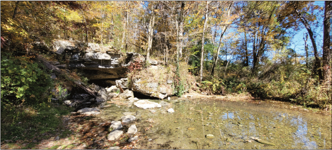 Alt text: Cave entrance and spring outlet beside a shallow pool in forest.