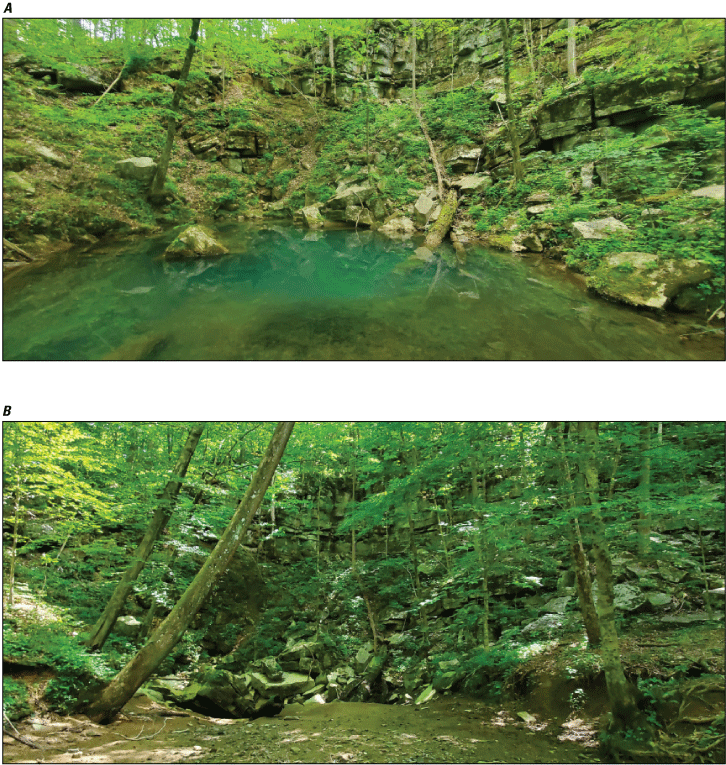 Alt text: Deep spring pool and dry spring pool in forest.