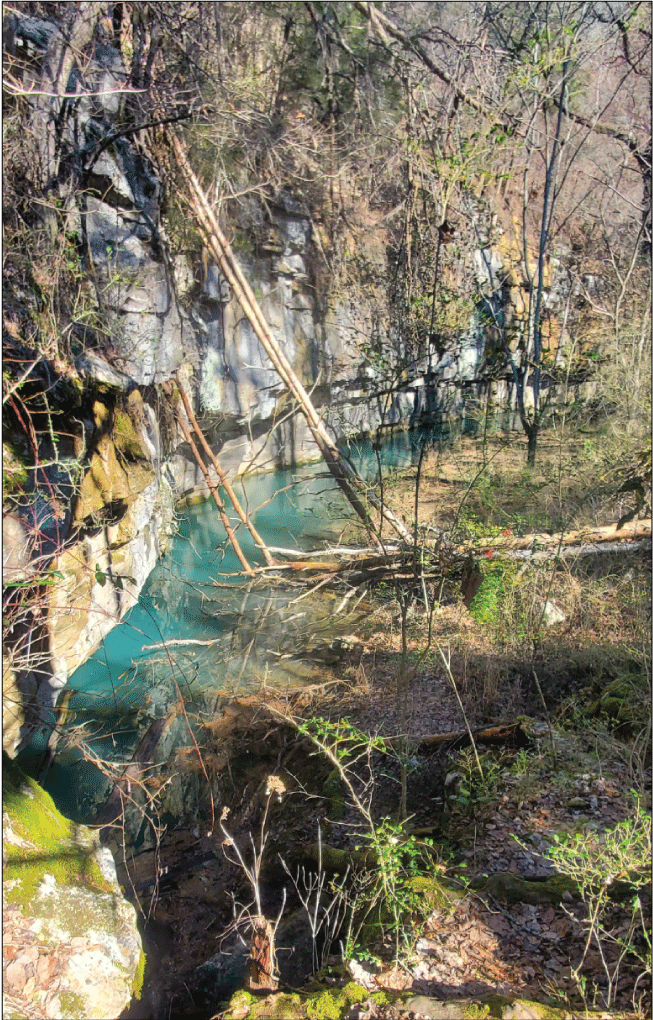 Alt text: Deep pool beside cliff face in forest.