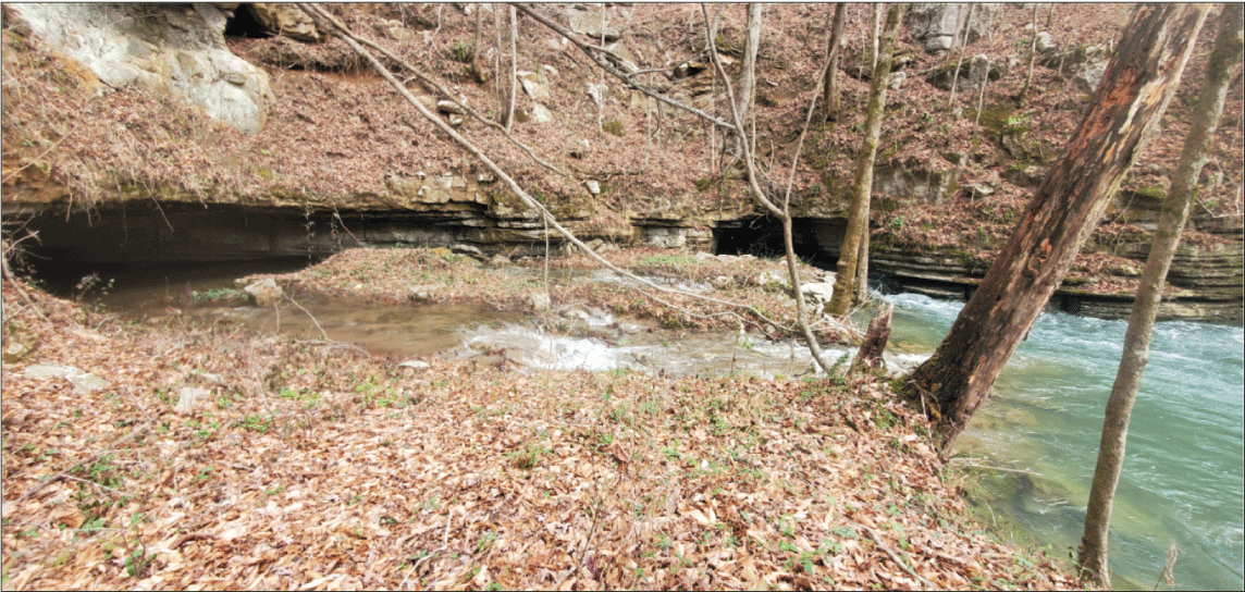 Alt text: Water flowing out of cave entrance in forest.