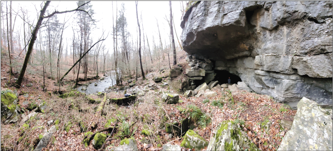 Alt text: Water flowing along spring branch in forest.