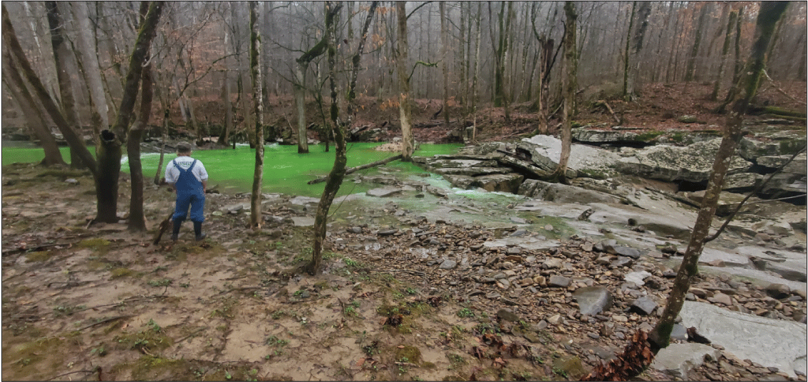 Alt text: Green fluorescein dye in pool at sinkpoint along Little Sequatchie River.