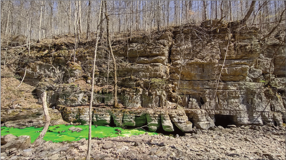 Alt text: Green fluorescein dye in shallow pool beside cliff.