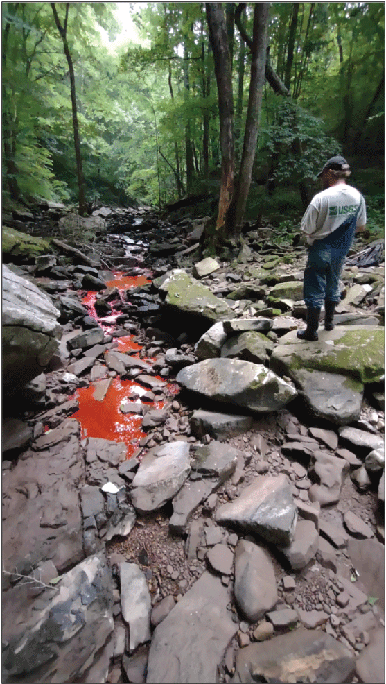 Alt text: Red rhodamine wt dye in shallow stream.