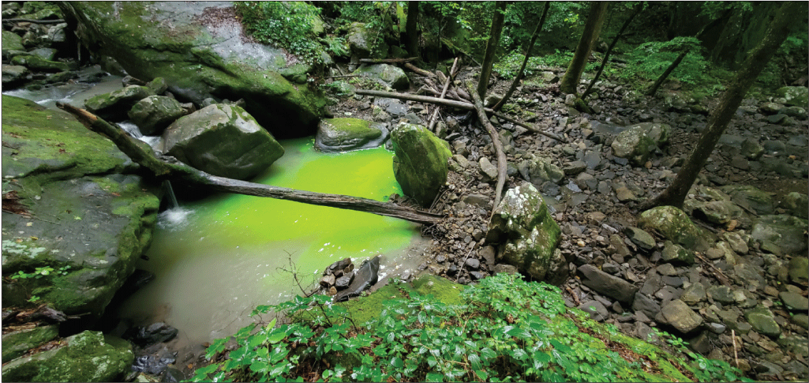 Alt text: Green fluorescein dye injection in deep pool.