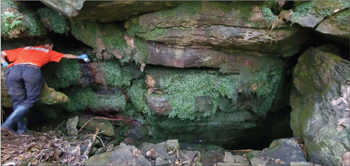 Alt text: Scientist performing dye injection in stream at rock outcrop.