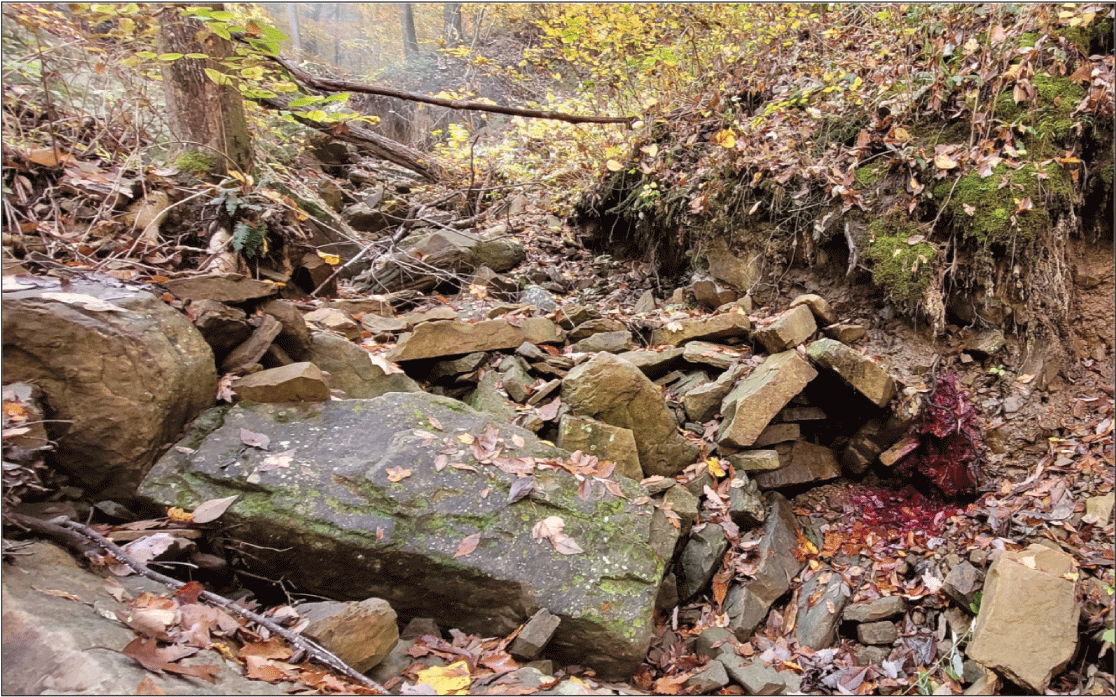 Alt text: Red sulphorhodamine b dye in dry streambed.