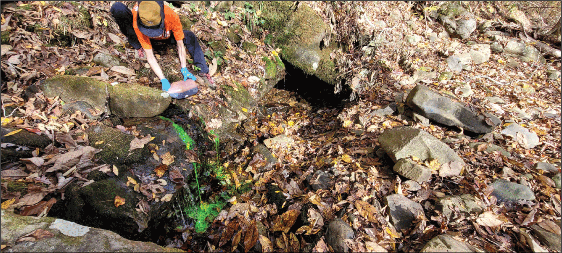 Alt text: Scientist injecting green fluorescein dye into small stream.