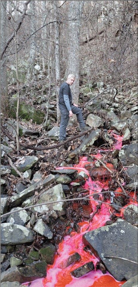 Alt text: Red sulphorhodamine b dye in small stream.