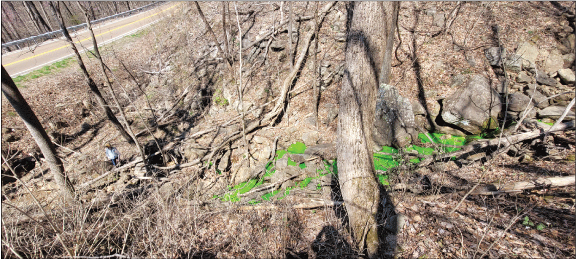 Alt text: Green fluorescein dye in small stream.