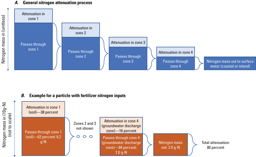 Nitrogen mass decreases through attenuation as nitrogen passes through zones 1 through
                        4.