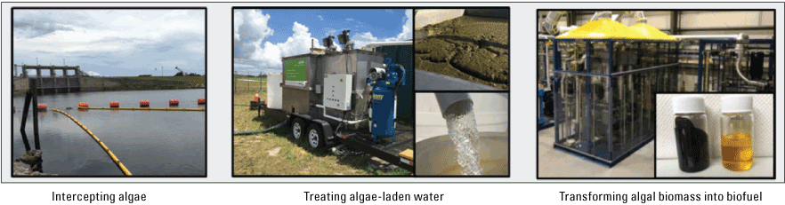 The photographs show the three-part process of collecting algae, processing algae,
                     and producing biofuel.