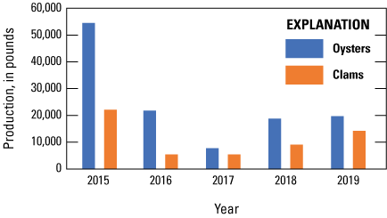 Amounts of farmed oysters and clams decreased and then increased over a 5-year period.