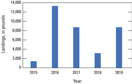 Amounts of wild shellfish caught in Martin County increased, decreased, and then increased
                        over a 5-year period.