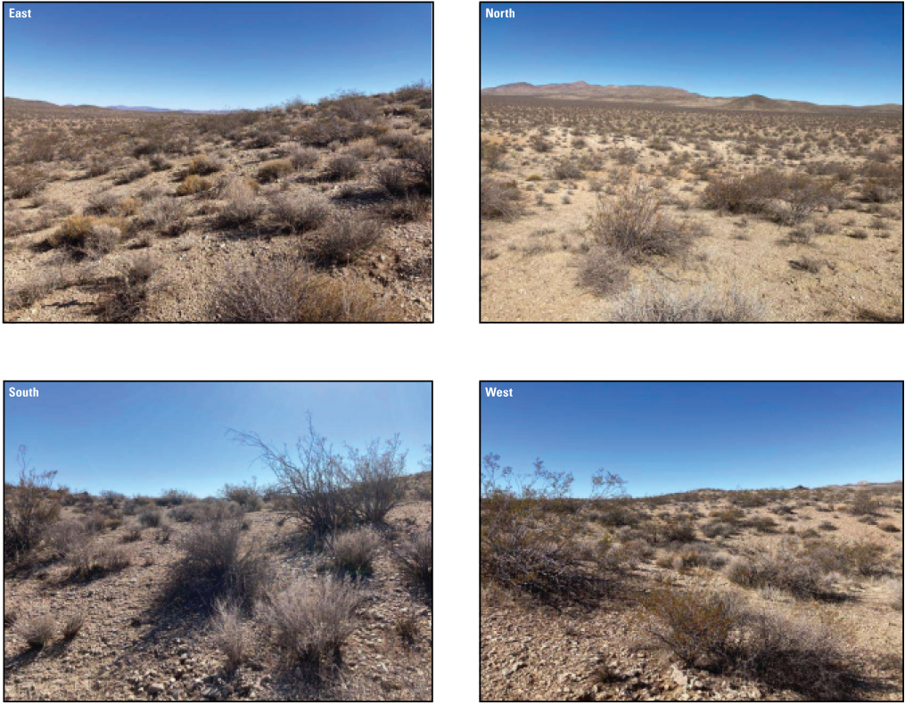 3.3. A desert landscape with low to medium sized rolling hills with higher density
               desert shrubs (481987 North UTM; 3897580 East UTM). 