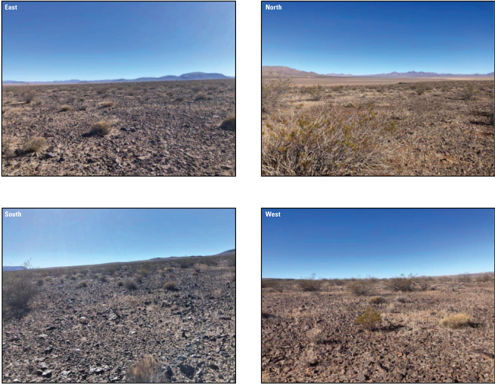3.4. A flat desert landscape with sandy soil and interspersed gravel-sized rocks (486829
               North UTM; 3895990 East UTM). 