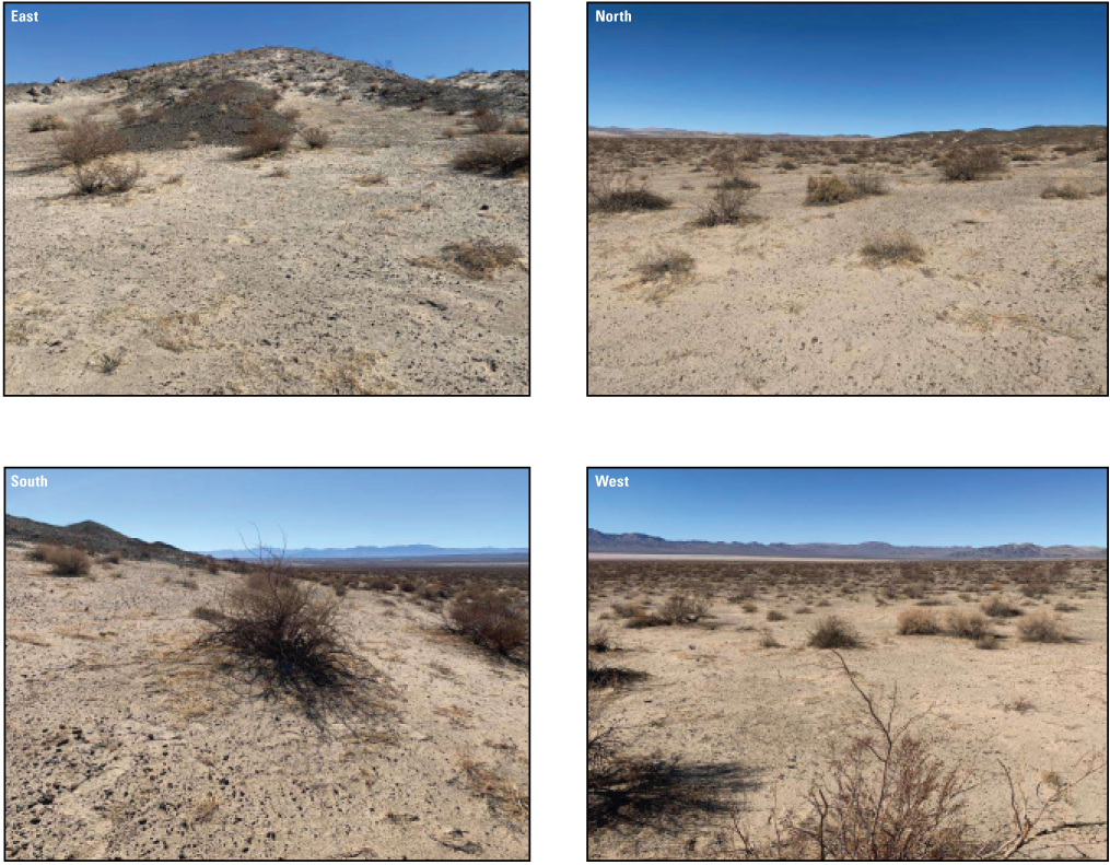 3.7. A desert landscape with many small sandy hills and dense volcanic gravel that
               covers the hillsides (529354 North UTM; 3883769 East UTM). 