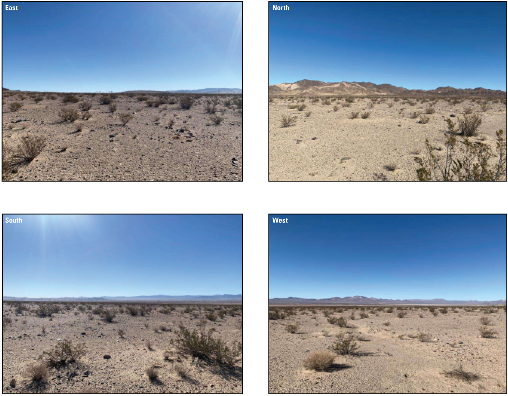 3.8. A desert landscape with sparse and low shrubs on sandy substrate (535185 North
               UTM; 3878350 East UTM). 