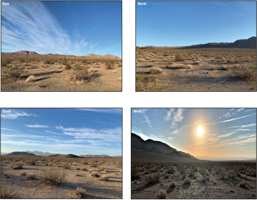 3.10. A desert landscape with rocky and sandy soil. Vegetation is denser than other
               sites with tall desert shrubs (512261 North UTM; 3886170 East UTM). 
